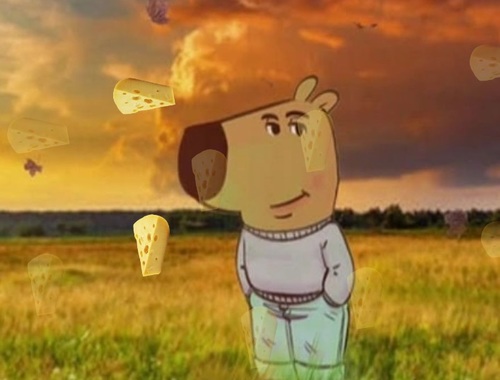 Relax, chladný syr .