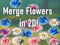 Hra Merge Flowers in 2D!