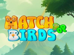 Hra Match Pop Birds