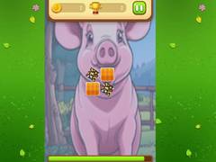 Hra Farm Animals Memory Cards