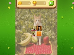 Hra Farm Cat Memory Match