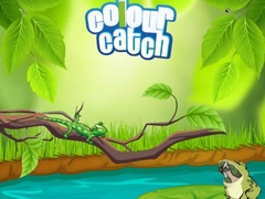 Hra Colour Catch