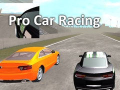Hra Pro Car Racing