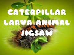 Hra Caterpillar Larva Animal Jigsaw