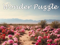 Hra Wonder Puzzle