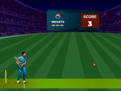 Hra Cricket Night 2