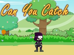 Hra Can You Catch