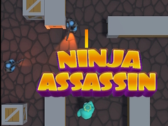 Hra Ninja Assassin