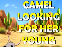 Hra Camel Looking For Her Young