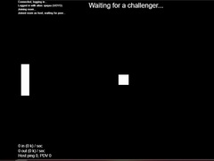 Hra Multiplayer Pong