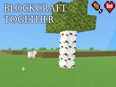 Hra BlockCraft Together