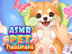 Hra ASMR Pet Treatment