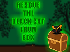 Hra Rescue the Black Cat from Box