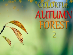 Hra Colorful Autumn Forest 2