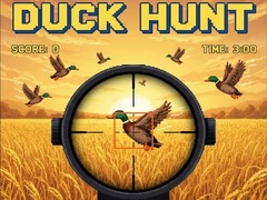 Hra Duck Hunt