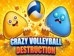 Hra Crazy Volleyball Destruction
