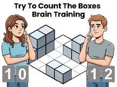 Hra Try To Count The Boxes Brain Training