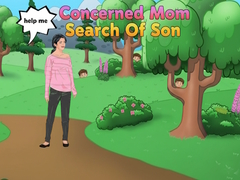 Hra Concerned Mom Search Of Son
