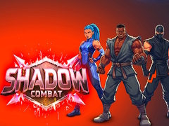 Hra Shadow Combat