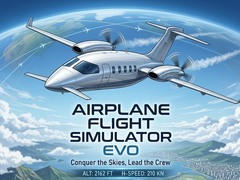 Hra Airplane Flight Simulator EVO