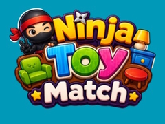 Hra Ninja Toy Match