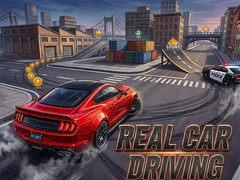 Hra Real Car Driving