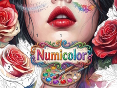 Hra Numicolor