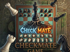 Hra Checkmate Game