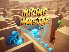 Hra Hiding Master