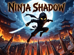 Hra Ninja Shadow