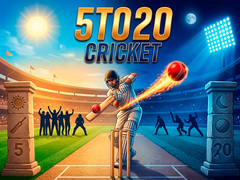 Hra 5TO20 Cricket