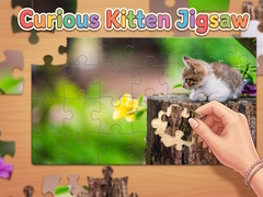 Hra Curious Kitten Jigsaw