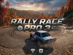 Hra Rally Race Pro 3