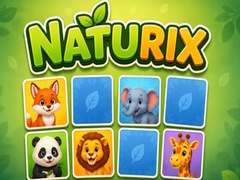 Hra Naturix