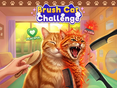 Hra Brush Cat Challenge 