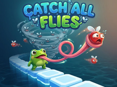 Hra Catch All Flies