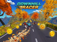 Hra Downhill Racer