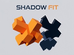 Hra Shadow Fit
