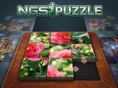 Hra NGS Puzzle