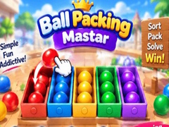 Hra Packing Master Puzzle