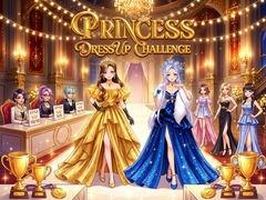 Hra Princess Dress Up Challenge