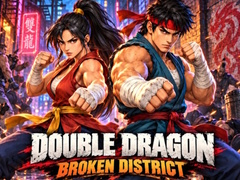 Hra Double Dragon Broken District