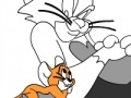 Hra Tom and Jerry colouring