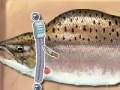 Hra Battered red fish
