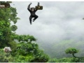 Hra Flight Monkeys