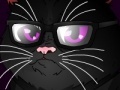 Hra Grumpy Cat