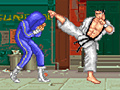 Hra Super Fighter 2