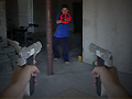 Hra First Person Shooter In Real Life 3