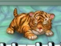 Hra My tiger