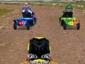 Hra Lawnmower Racing 3D